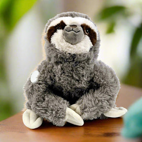 Sammy The Sloth