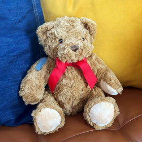 Buddy The Bear