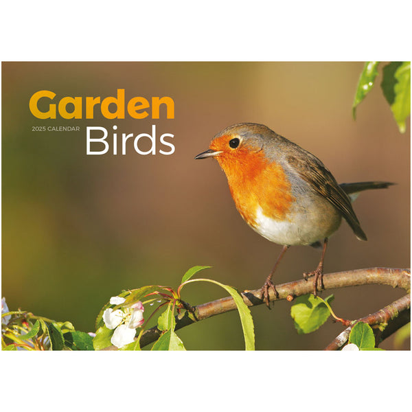 Garden Birds A4 Calendar 2025 Diabetes UK Shop