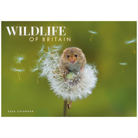 2026 calendar of wildlife photography.  With an image of a mouse on a flower and a green background.