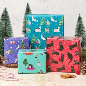 Christmas gift wrap featuring cats on purple, blue, turquoise and red paper with Christmas trees on  a white background.
