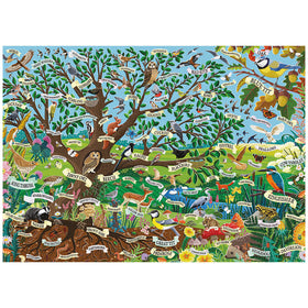 Colorful illustration of a forest ecosystem with various animals and plants labeled.