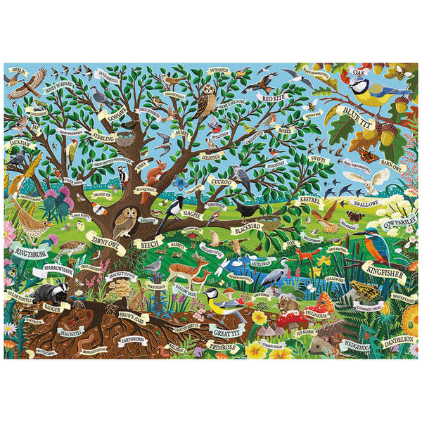 Colorful illustration of a forest ecosystem with various animals and plants labeled.