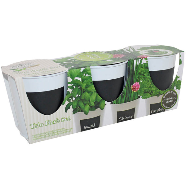 Packaged pots for herbs labelled as basil, chives, and parsley, growing indoors.