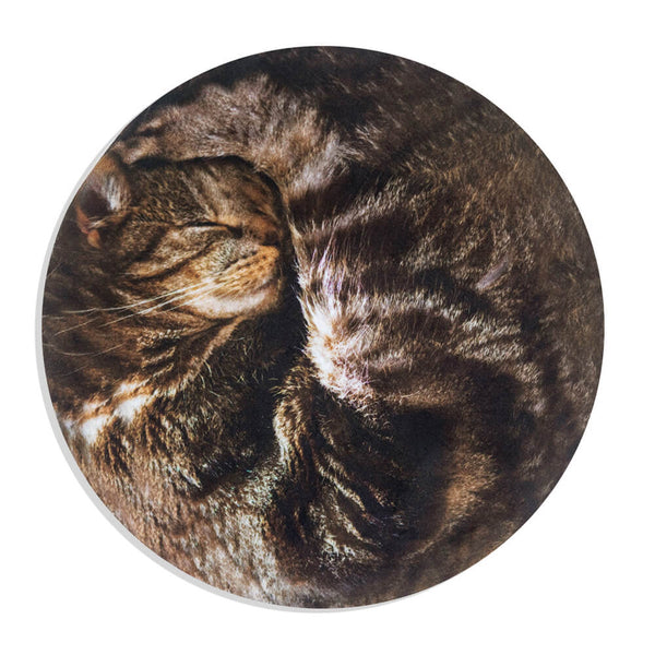 A circular coaster featuring a close-up photograph of a sleeping brown tabby cat hot water bottle, shown on a plain white background.