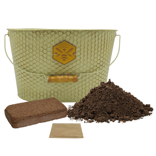 Honeycomb design green container with soil and a seed packet on a white background.