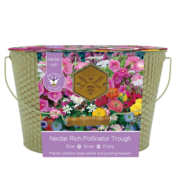 Green trough  with brightly coloured flowers on a white background.