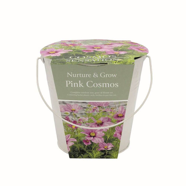 Container with pink cosmos design and text on a white background