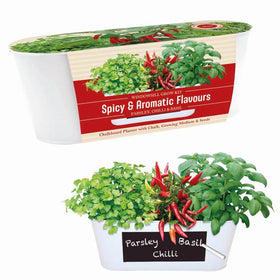 Herb planter set with parsley, chilli and basil with a white background.