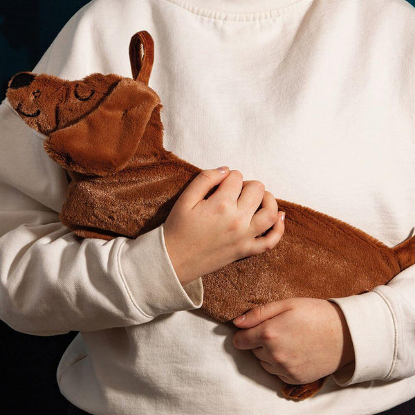 Person holding a brown dog-shaped hot water bottle against a white background