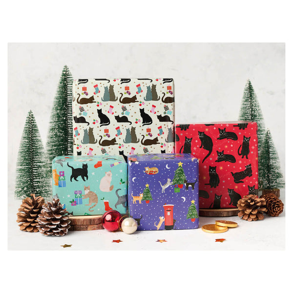 Purple, red white and blue giftwrap with a black cat design. Ferns and cones on aa white background.