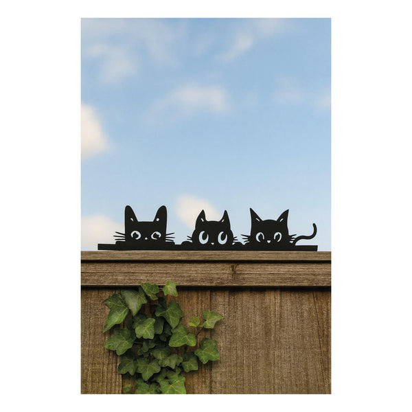 Three cats on a brown fence
