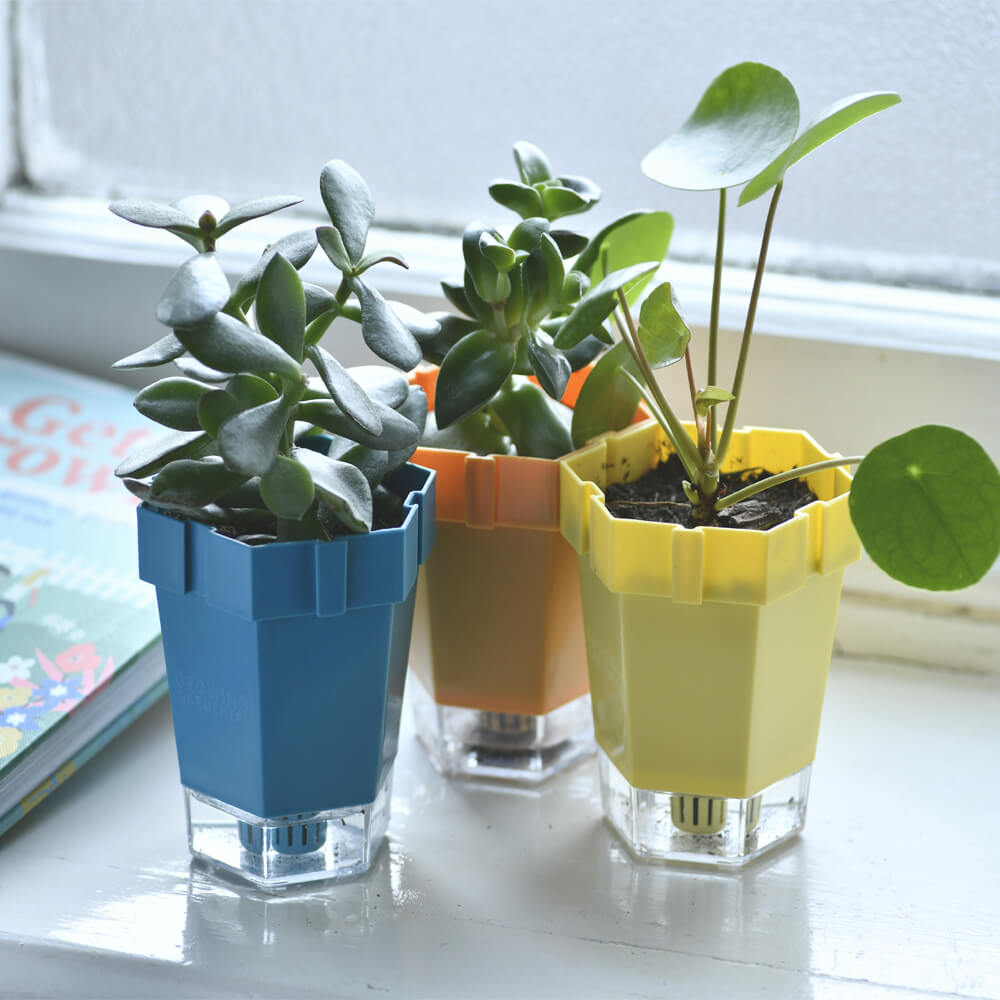 rhs plant pots RHS Link-A-Pots Plant Pots Set of 3