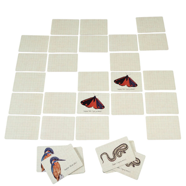 Nature Trail Memory Game (40 pieces)