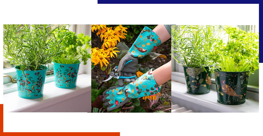 Step into spring