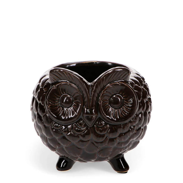 Brown owl-shaped planter on a white background
