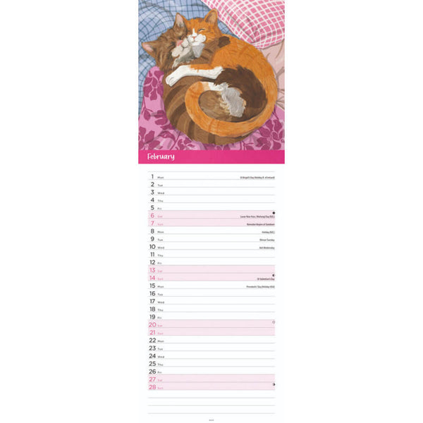 Cats Illustrated Slim Calendar 2027