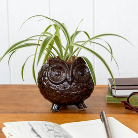 Brown owl-shaped planter with a plant on a wooden surface