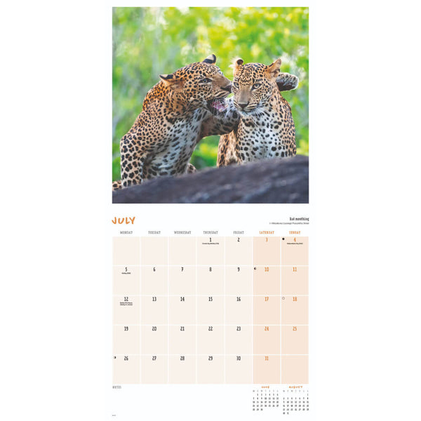 Comedy Wildlife Photo Awards Wall Calendar 2027 featuring humorous wildlife photography.