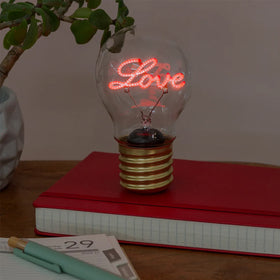 Light bulb with 'Love' neon sign on a red notebook with a plant and pen in the background.