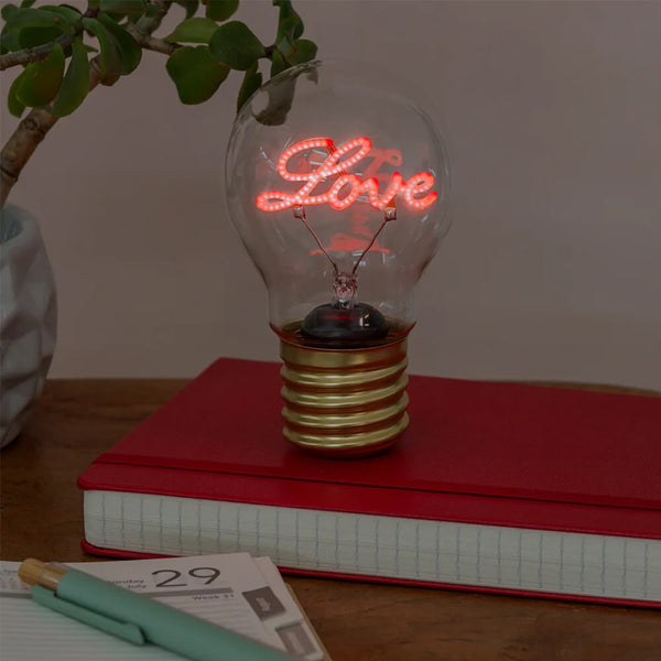Light bulb with 'Love' neon sign on a red notebook with a plant and pen in the background.