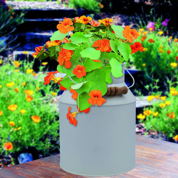 Nasturtium Milk Churn