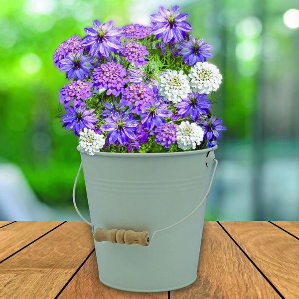 A potted flowering plant with purple and white blossoms in a metal bucket with a wooden handle, set on a wooden table against a blurred green outdoor background.
