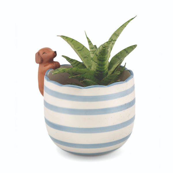A small potted snake plant in a round white ceramic pot with light blue horizontal stripes, featuring a small brown dachshund figurine peeking out from the left side, set against a plain white background.