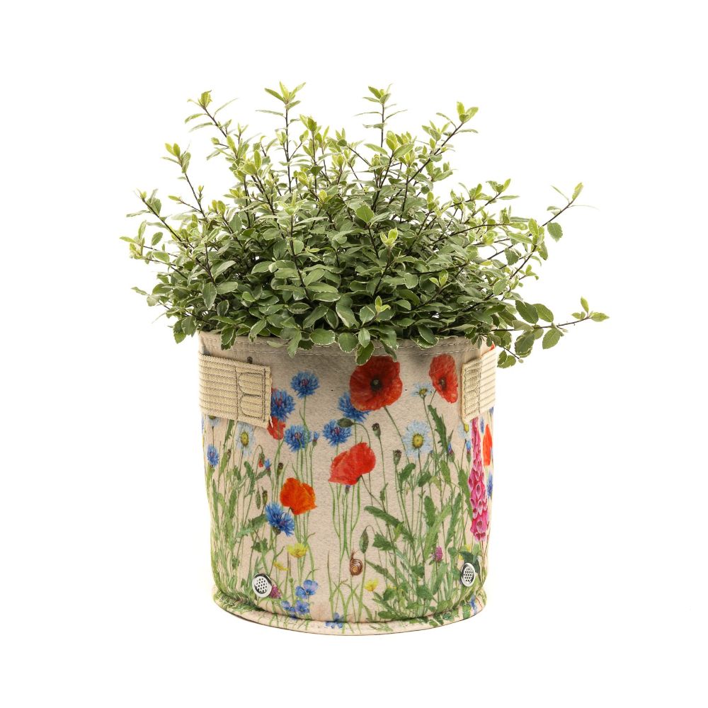 fabric plant pots uk Cream Iona Buchanan Meadow Fabric Pot