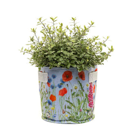 Lilac Iona Buchanan Meadow Fabric Pot