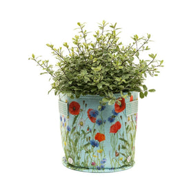 Green Iona Buchanan Meadow Fabric Pot