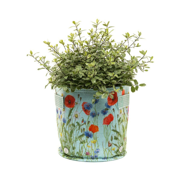 Green Iona Buchanan Meadow Fabric Pot